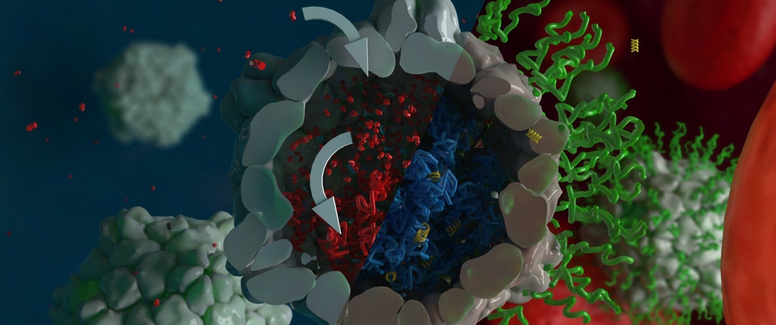 Macromolecular Chemistry