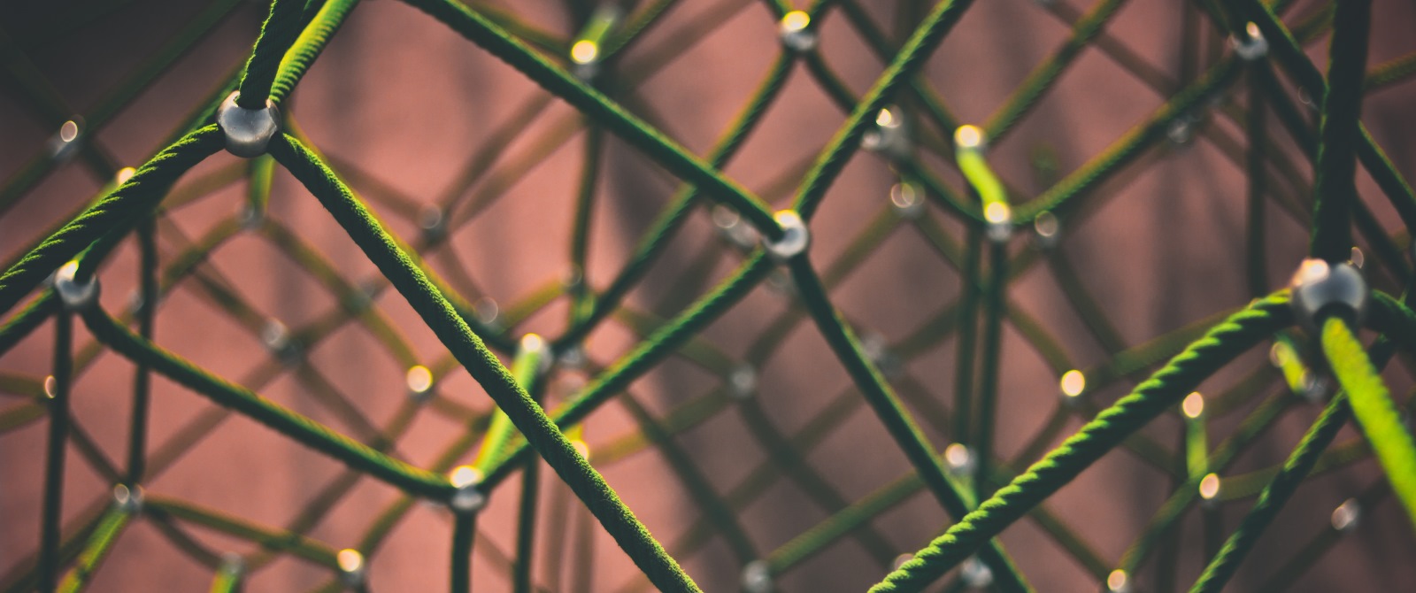 Networks
